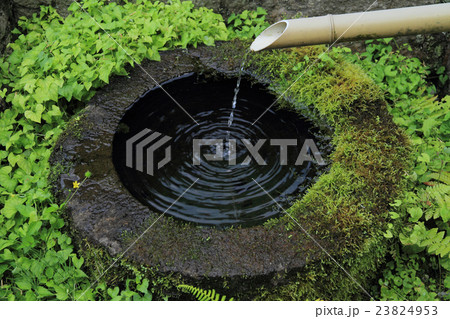 苔と緑に覆われたつくばい 苔と緑に覆われたつくばい 23824953