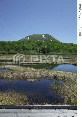 湿原_ニセコ高原湿原 23825068