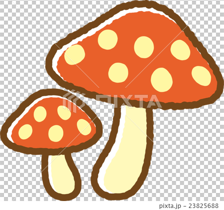 キノコ 23825688