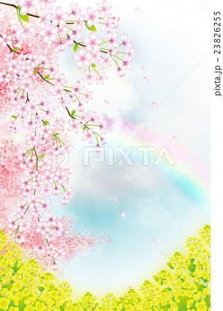桜と菜の花のイラスト素材