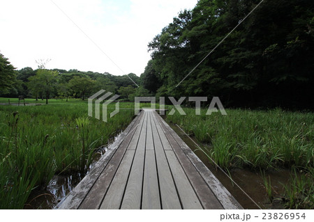 泉谷公園 千葉鎌取 泉谷公園 千葉鎌取 23826954