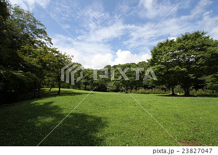 緑に包まれた公園 泉谷公園 緑に包まれた公園 泉谷公園 23827047