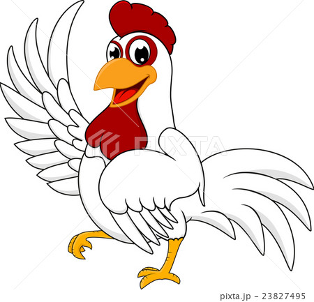 Happy White Chicken 23827495