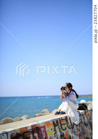 堤防沿い 23827704