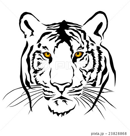 Tiger head black and whit, Vector 23828868