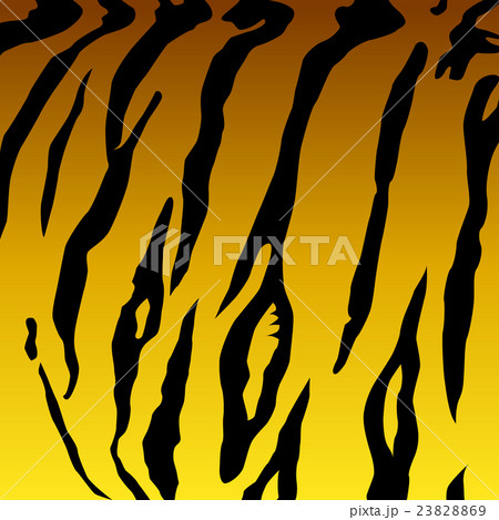 Tiger skin background. 23828869