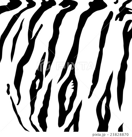 Tiger skin background. 23828870