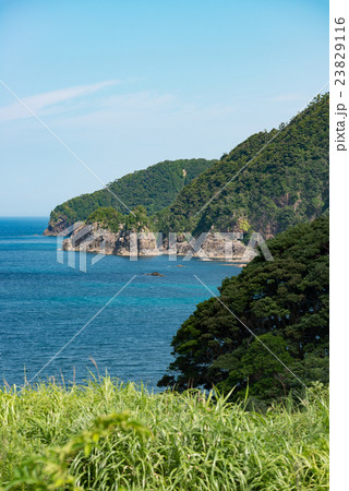 夏の海岸 夏の海岸 23829116