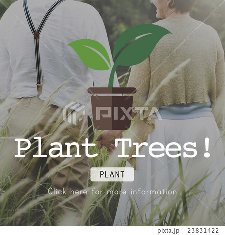 Planting Plant Plant Trees Green World Concept 23831422