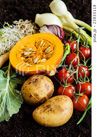 fresh organic vegetables 23833118
