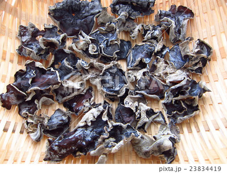 乾燥きくらげ 23834419