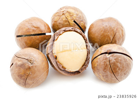 Macadamia nut isolated on white. 23835926