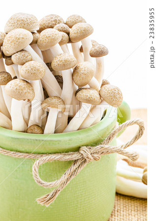 brown beech mushrooms. brown beech mushrooms. 23835955