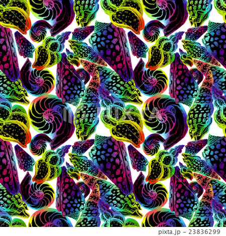Hand drawn seamless pattern of seashells.  23836299