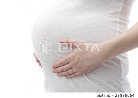 マタニティーフォト マタニティーフォト 23836664