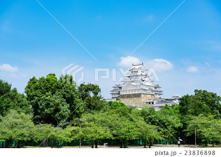 城見台公園からの姫路城 23836898