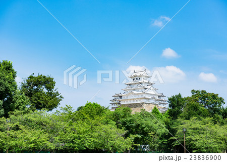 城見台公園からの姫路城 23836900
