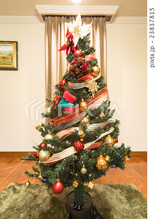 クリスマスツリー クリスマスツリー 23837815