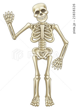 Cartoon Skeleton Waving Stock Illustration 2326