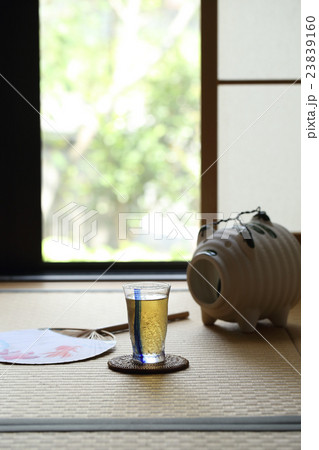 夏の風景 23839160