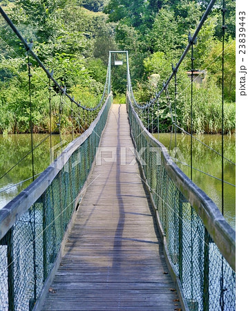 Bridge over Dyje river Bridge over Dyje river 23839443