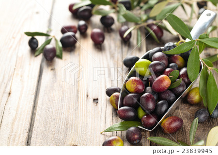 Fresh olives in scoop. Fresh olives in scoop. 23839945