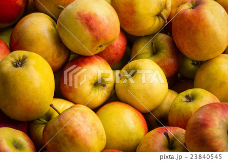 many apples - apple background many apples - apple background 23840545
