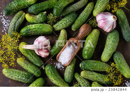 Cucumbers for pickling 23842844