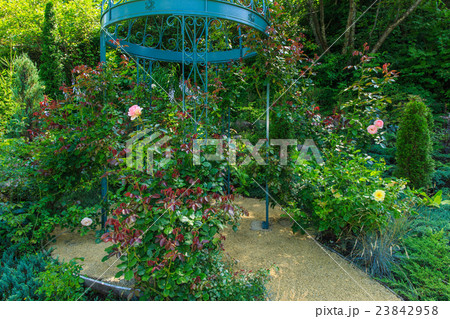 白馬コルチナ　イングリッシュガーデン 23842958