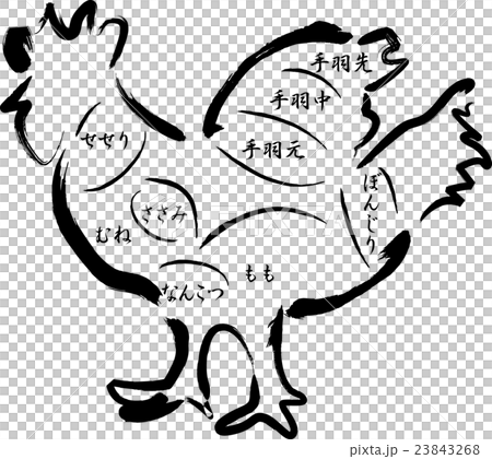鶏肉 部位の名称 鶏肉 部位の名称 23843268