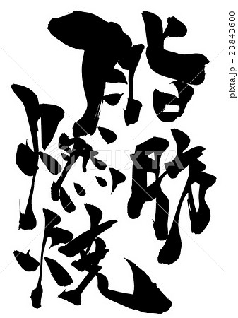 脂肪燃焼・・・文字 23843600