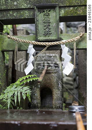 諏訪神社のこま犬の井戸 諏訪神社のこま犬の井戸 23846166
