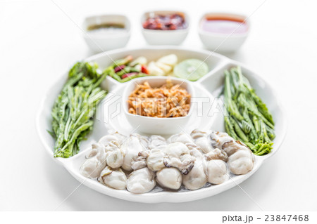 Fresh Oyster 23847468