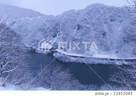 冬の庄川峡 23852085