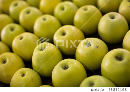 yellow apples on the market yellow apples on the market 23852168