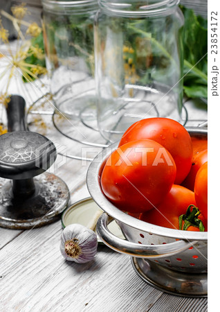 Marinating harvest tomatoes Marinating harvest tomatoes 23854172