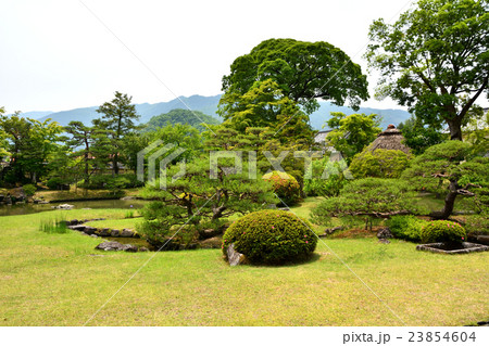 真田邸の庭 23854604