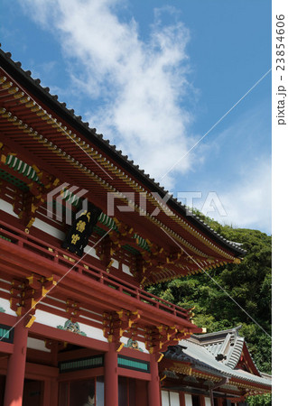 鎌倉・鶴岡八幡宮 鎌倉・鶴岡八幡宮 23854606