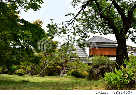 真田邸の庭園 23854607