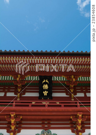 鎌倉・鶴岡八幡宮 鎌倉・鶴岡八幡宮 23854608