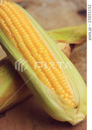 fresh corn 23855152