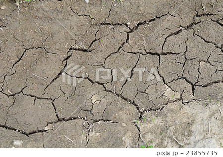 The dried-up dirt with cracks The dried-up dirt with cracks 23855735