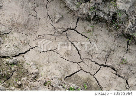 The dried-up dirt with cracks The dried-up dirt with cracks 23855964