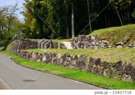 安土城跡　南山裾帯郭の虎口（2016.4） 23857716