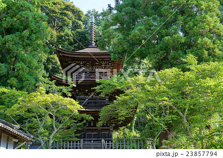 六條八幡神社三重塔 23857794