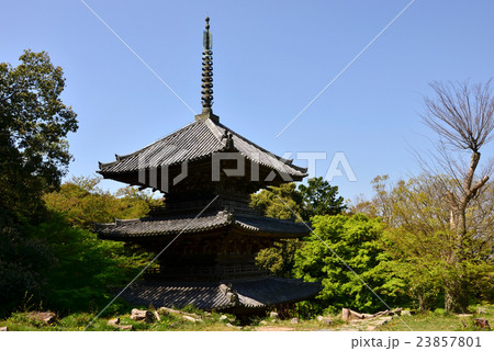 安土城跡 三重塔(2016.4) 安土城跡 三重塔(2016.4) 23857801