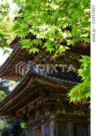 安土城跡 三重塔(2016.4) 安土城跡 三重塔(2016.4) 23857807