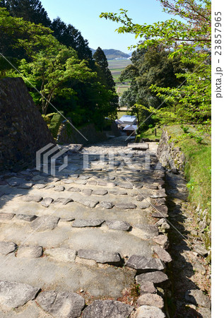 安土城跡　大手道（2016.4） 23857965
