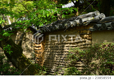 唐招提寺　境内の築地塀（2016.4） 23858554