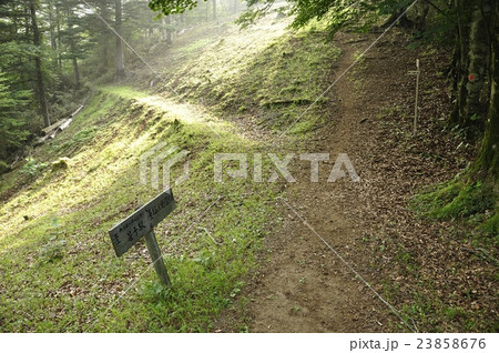 滝子山の登山道 23858676